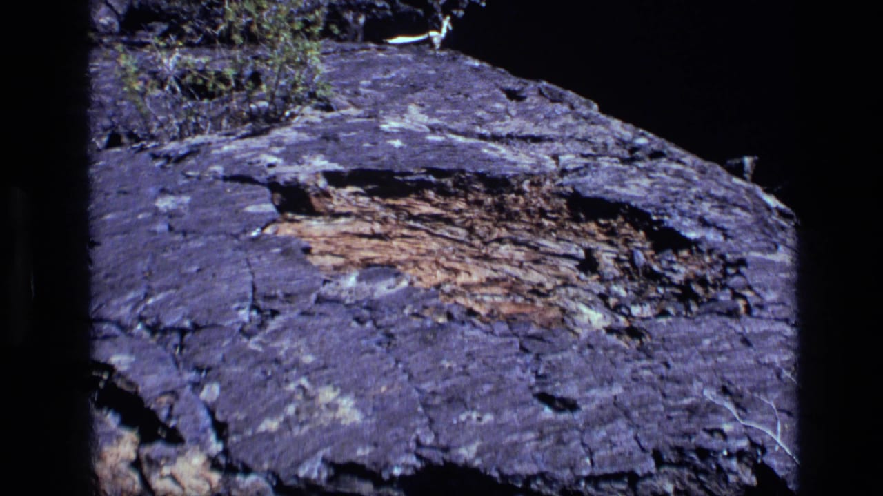 Close view of dark layered rock with cracks and weathered brown patches.
