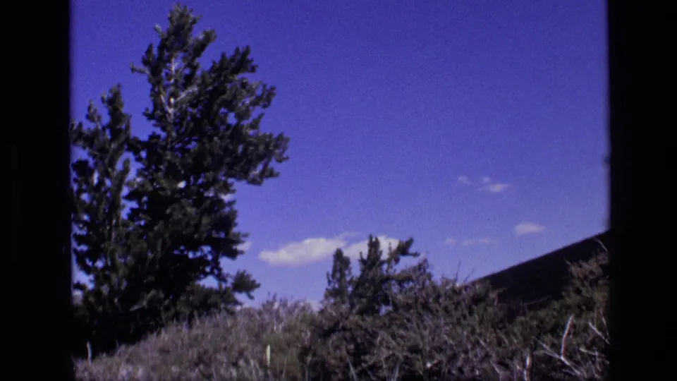 1972 Idaho 8mm frame with a tall evergreen at left, dry hillside vegetation, and open blue sky.