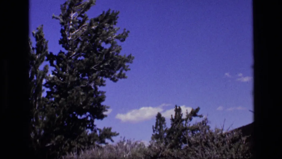 1972 Idaho 8mm frame showing evergreen branches over dry hillside brush beneath a blue sky with small clouds.