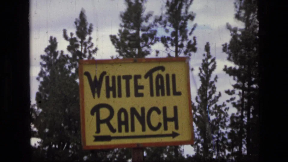 Tight 1973 8mm Montana frame of the yellow White Tail Ranch sign with bold black lettering, supported by posts before evergreen trees.
