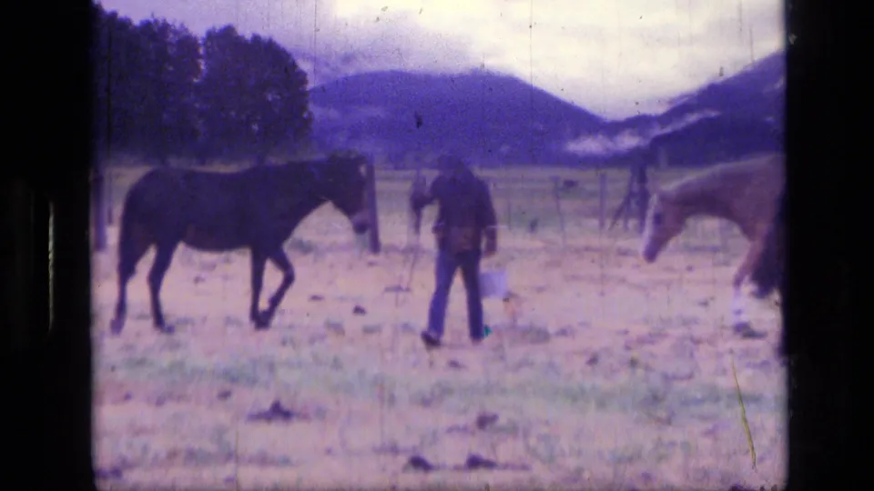Likely Scapegoat Wilderness frame showing a cowboy among horses in a grassy field beneath misty purple mountain slopes.