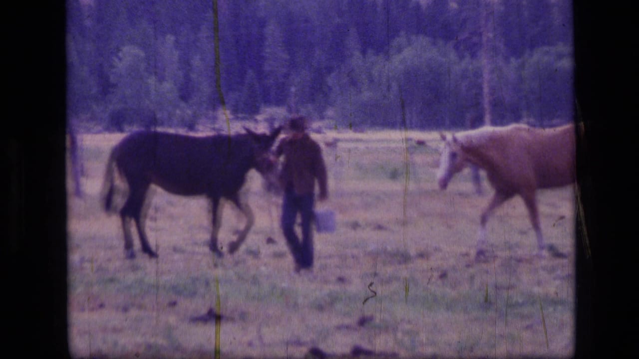 1973 Montana 8mm frame of an adult with a bucket near a dark horse, with a light-colored horse and wooded mountains beyond.