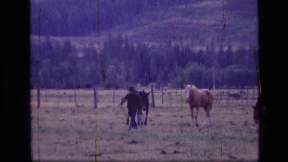 1973 Montana home-movie frame showing an adult with horses in a fenced pasture below wooded foothills and mountains.