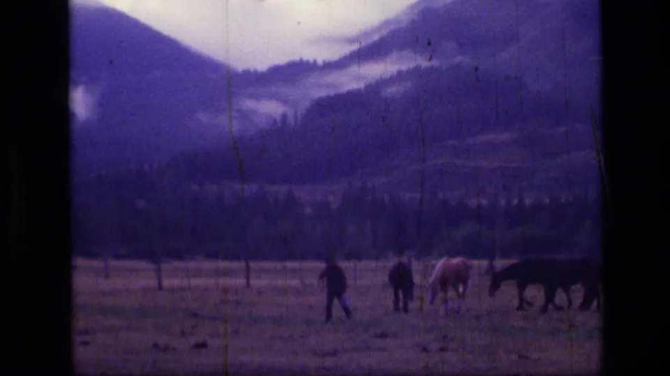 Wide 1973 Montana 8mm view of an adult and multiple horses crossing a pasture beneath hazy mountain slopes.