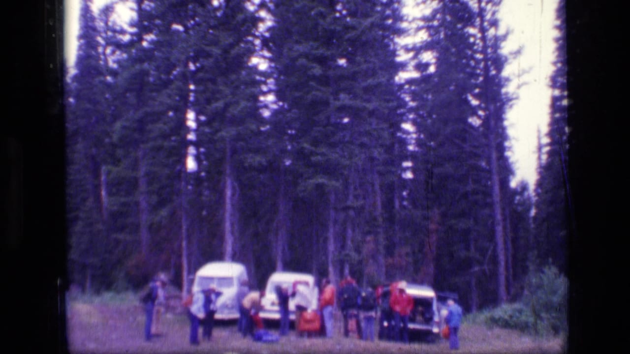 Group of people standing around vehicles in a forest clearing.