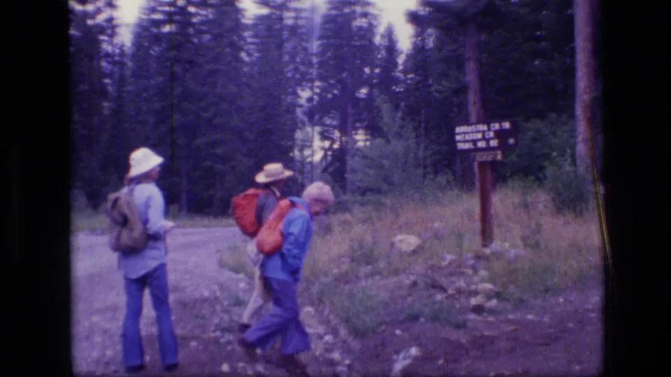 Three hikers with hats and backpacks pass a wooden trail sign on a dirt path through dense pine forest.