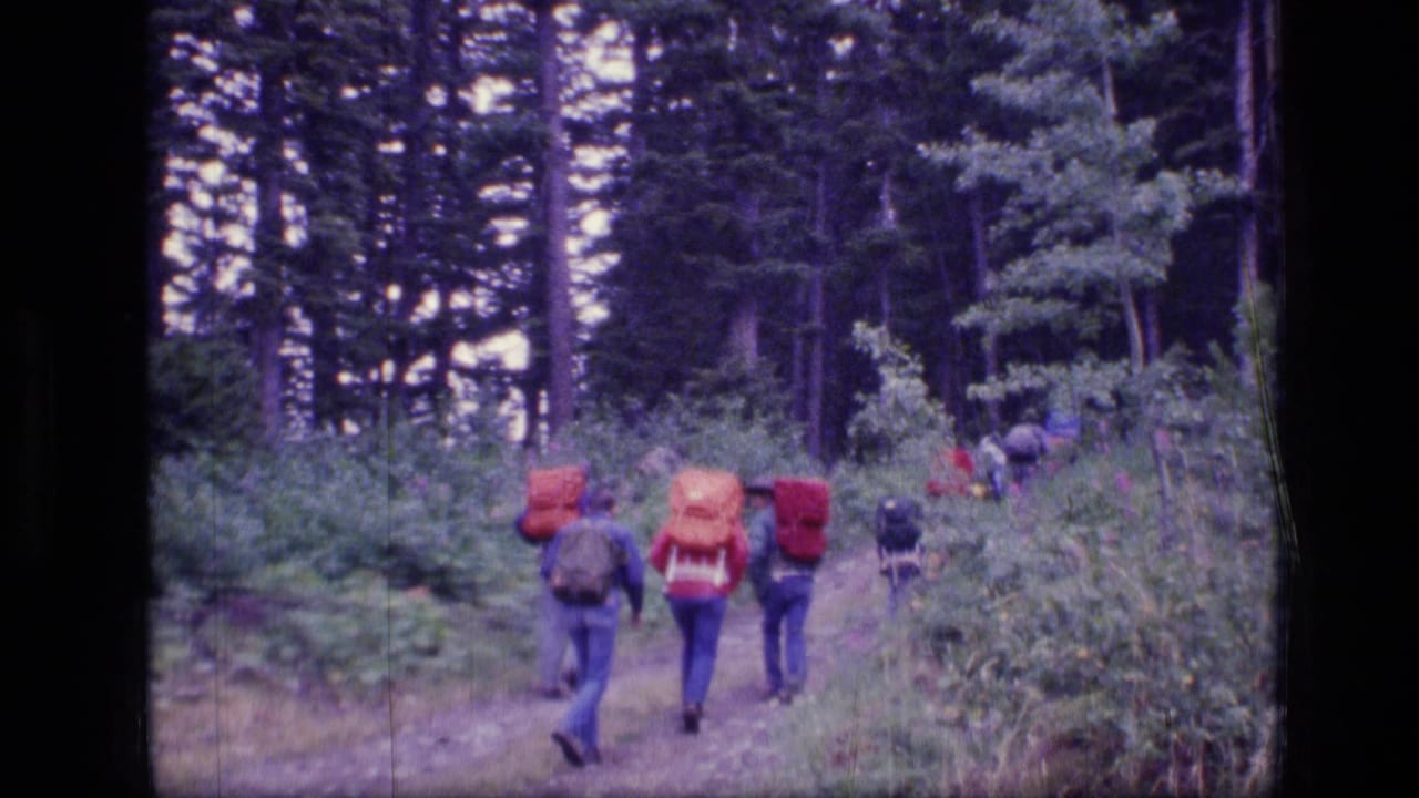 Backpackers walk away on a dirt trail through dense evergreen forest.