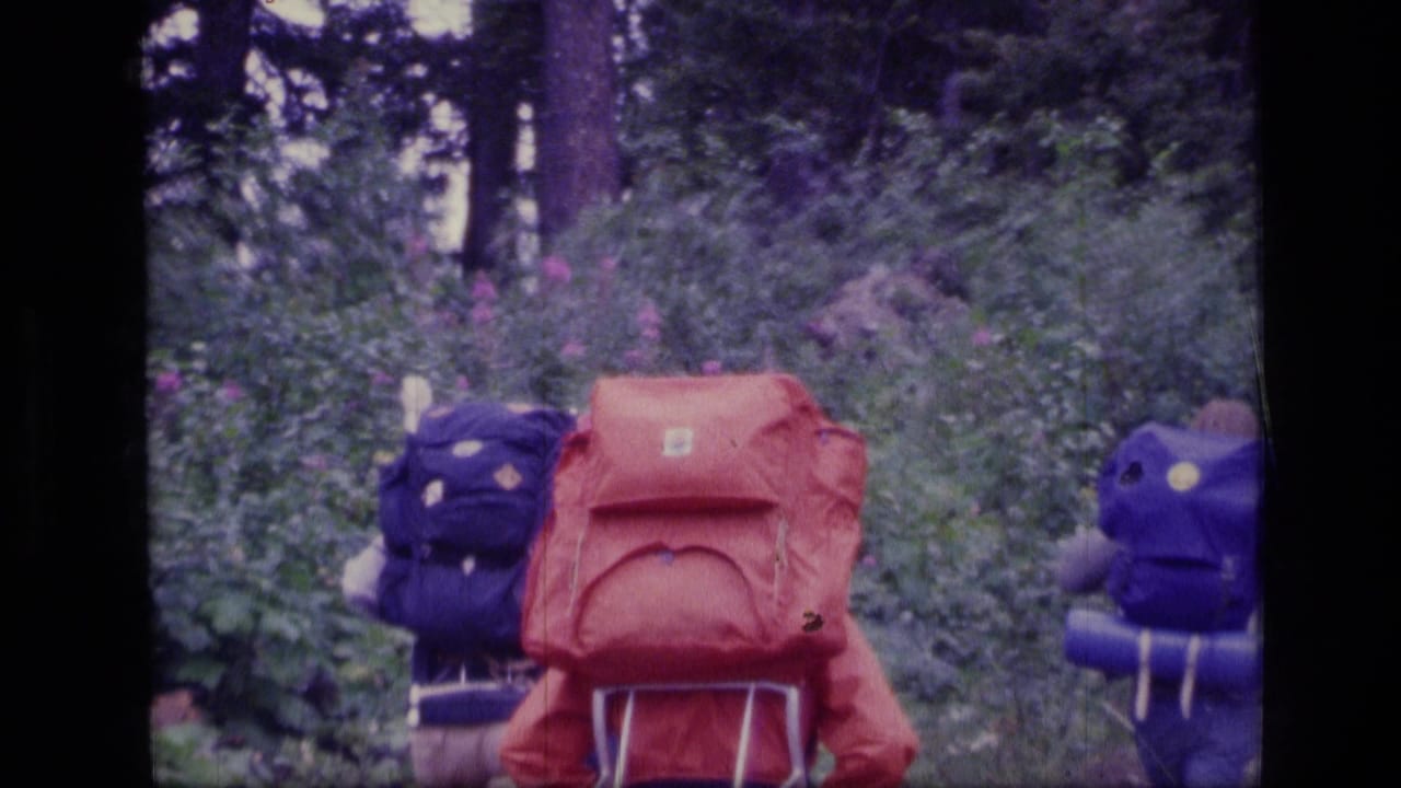 Hikers with red and blue backpacks continue along a brushy forest path.