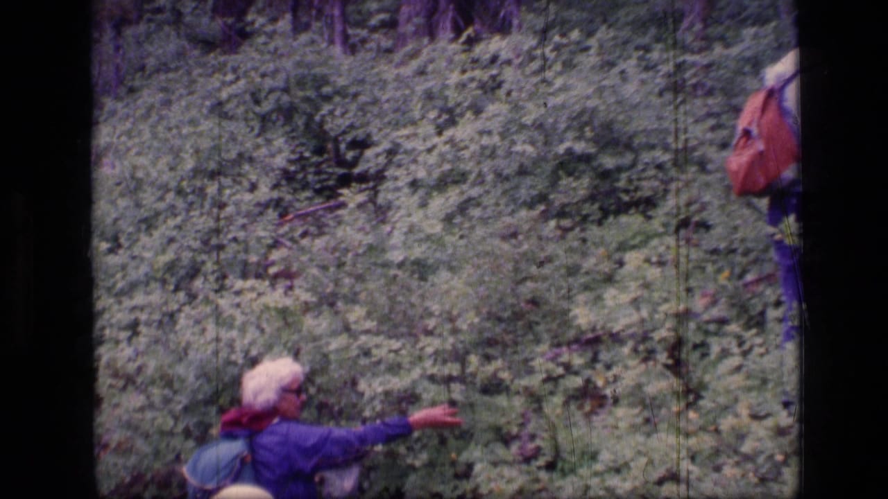 1973 Montana wilderness home-movie frame showing a woman gesturing in thick forest growth as a companion moves nearby.