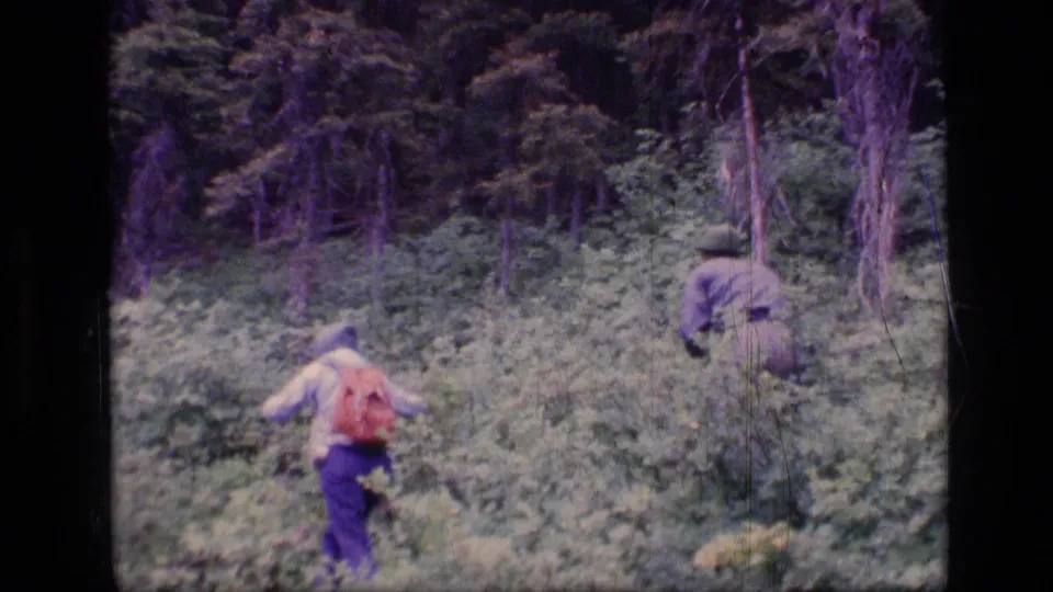 1973 home-movie frame of two adults foraging or walking through dense Montana forest undergrowth.