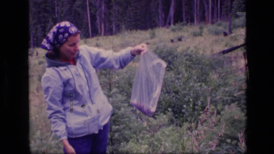 Woman in a headscarf displays a clear bag of gathered material in 1973 Montana wilderness footage.