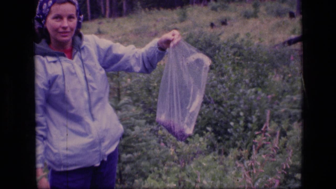 In Scapegoat Wilderness, Montana, a woman in outdoor clothing holds a clear bag of picked dark berries toward the 8mm camera.