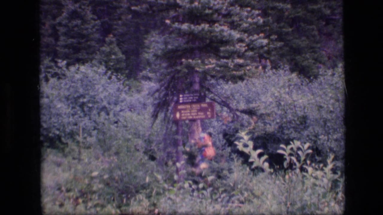 1973 8mm frame from Scapegoat Wilderness showing a hiker passing a wooden Amethyst Creek Trail sign amid thick forest growth.