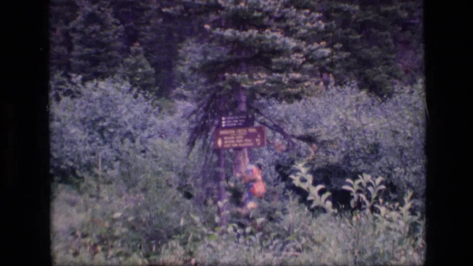 1973 8mm frame from Scapegoat Wilderness showing a hiker passing a wooden Amethyst Creek Trail sign amid thick forest growth.