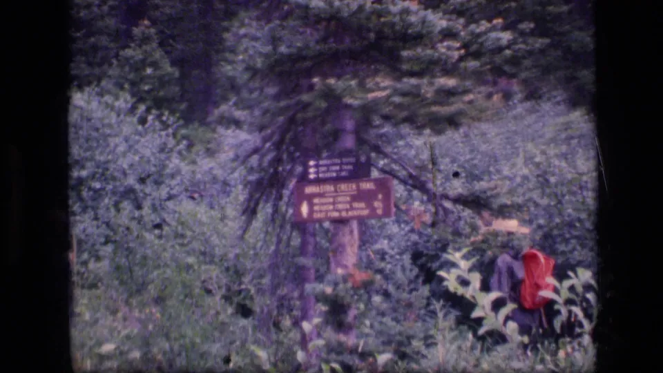 A backpacker moves through vegetation beside the Amethyst Creek Trail sign in 1973 Scapegoat Wilderness home-movie footage.