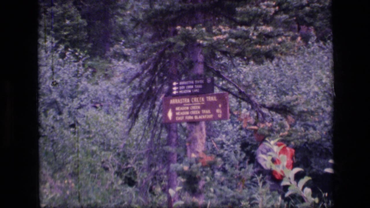 Hiker with red backpack near Arrastra Creek Trail signs in dense forest.