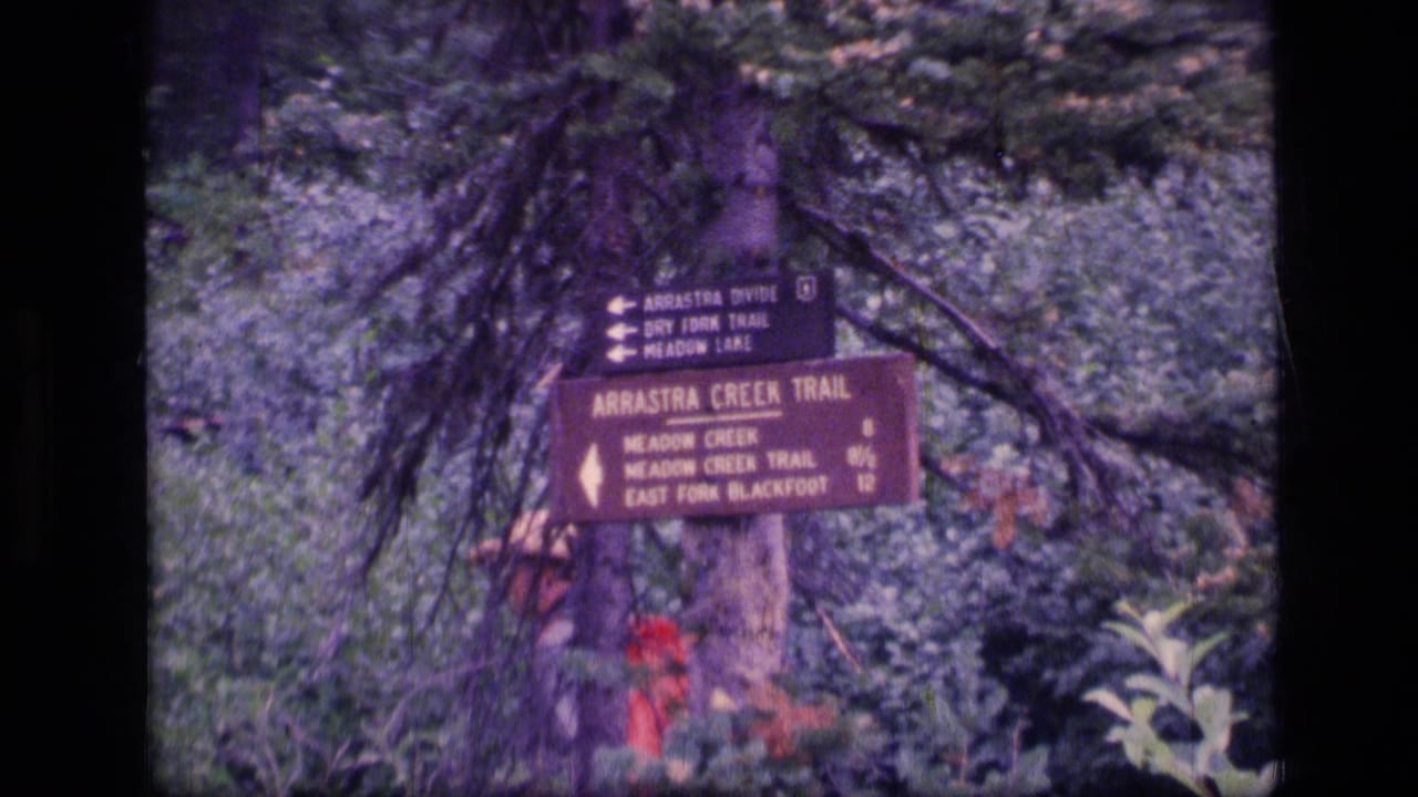 Wooden Arrastra Creek Trail signs in Scapegoat Wilderness, Montana, with a distant hiker partly visible among trees and brush.