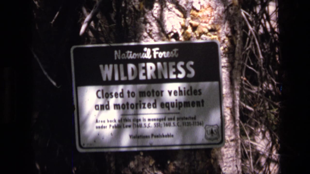 1973 8mm frame of a National Forest wilderness sign in Scapegoat Wilderness, Montana, partly shaded by trees.