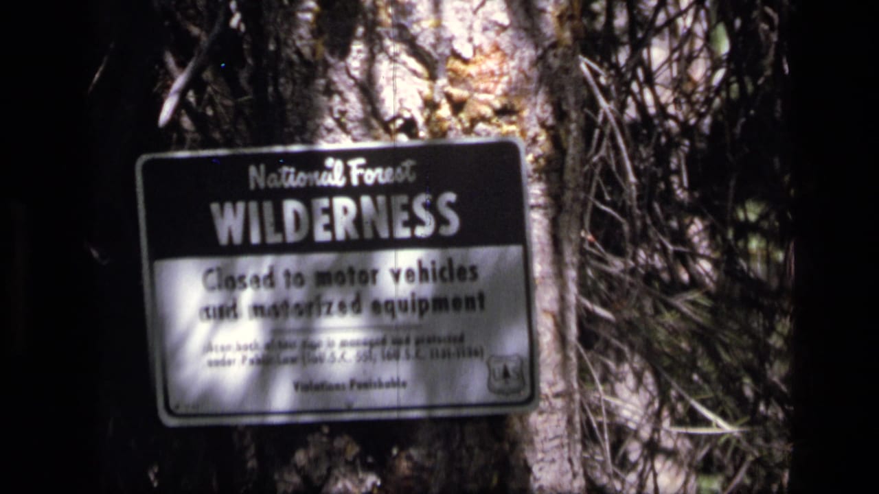 National Forest wilderness sign in the Montana forest, with soft focus and strong shadow from the 8mm scan.
