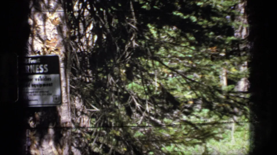 Visitor-shot 8mm view with the wilderness sign at the left edge and a narrow Scapegoat Wilderness trail beyond.