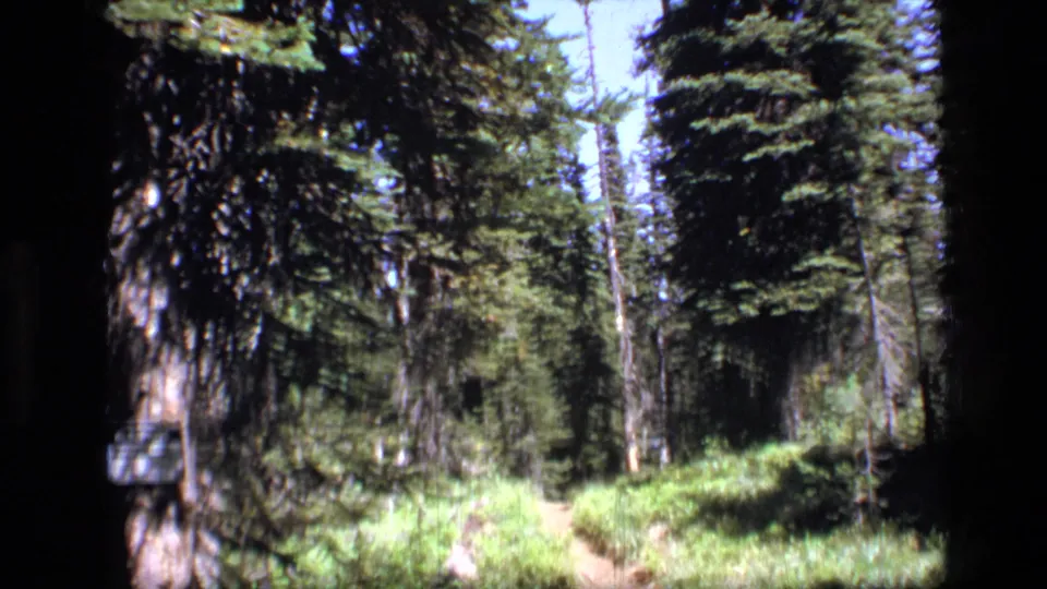 1973 Montana wilderness frame showing a narrow trail receding between evergreens and thick undergrowth.