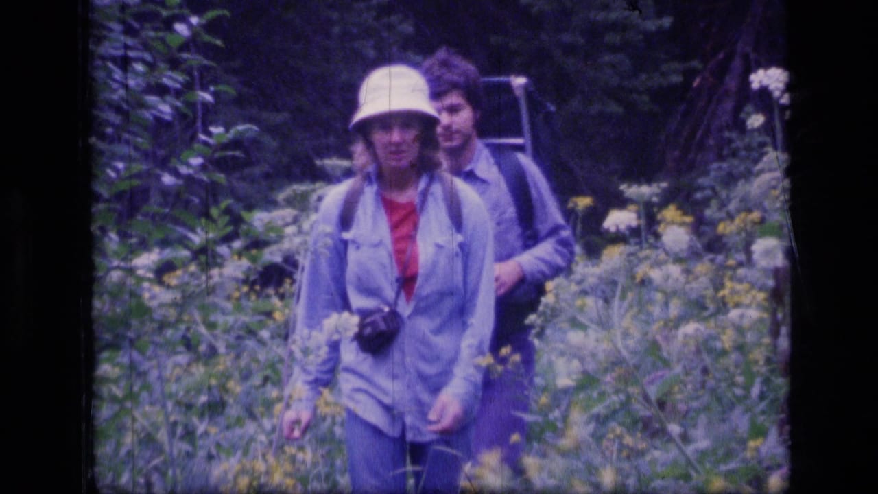 Two adult hikers walk through tall forest vegetation, led by a woman in a white bucket hat carrying a camera.