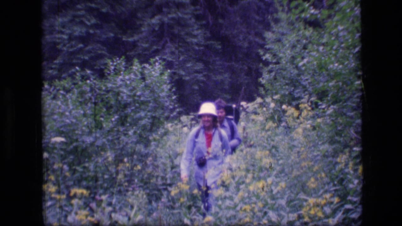 Two hikers move through dense forest vegetation, with one adult in a white hat carrying a camera.