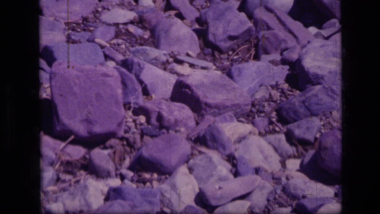 Rocky ground with purple-tinted 8mm film grain and dark frame edges.