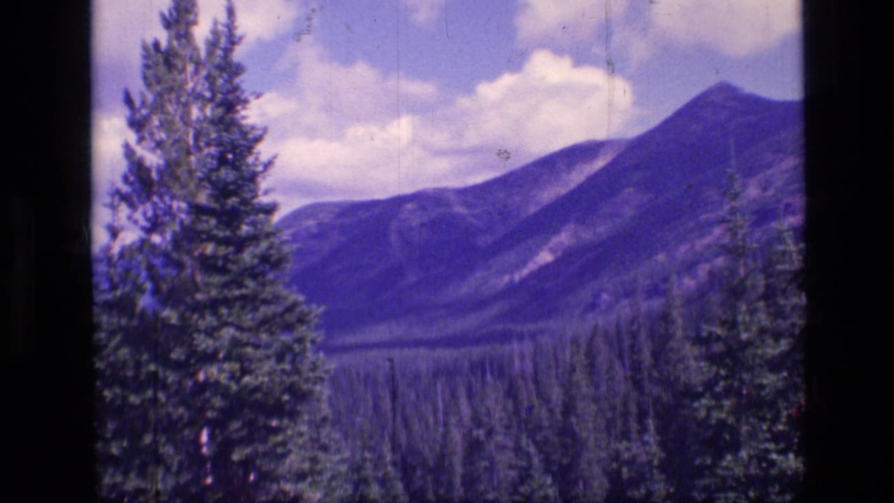 1973 8mm view of Scapegoat Wilderness, Montana, with tall evergreens in front of a distant mountain ridge and cloudy sky.