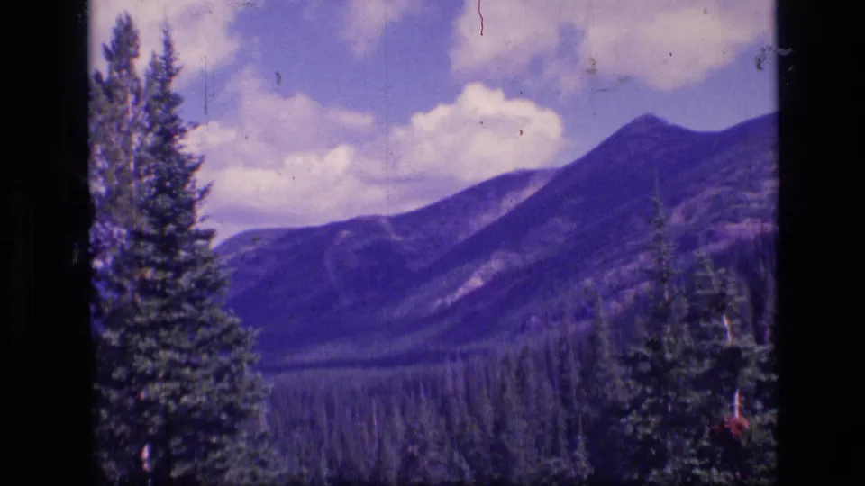 1973 Montana wilderness frame showing a tall evergreen in the foreground and layered mountain slopes beneath a partly cloudy sky.
