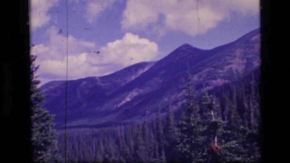 1973 8mm wilderness view with a forested valley, dark mountain ridge, pale clouds, and partial evergreen branches at the frame edge.