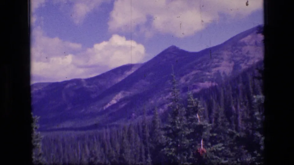 1973 Scapegoat Wilderness view with evergreen treetops, a forested mountain slope, distant ridge forms, and soft clouds in faded 8mm color.