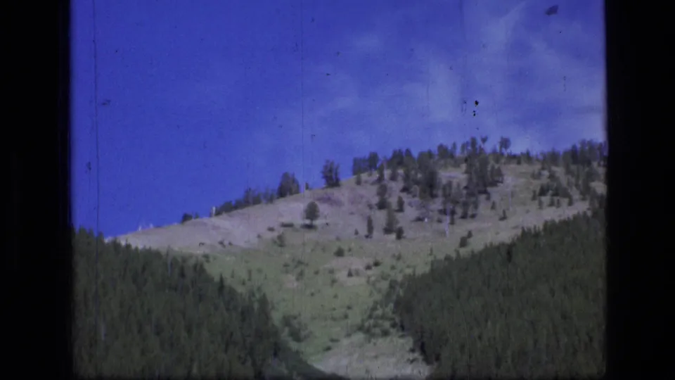 1973 Montana wilderness view with evergreen forest, open hillside, and blue sky in a soft 8mm landscape frame.