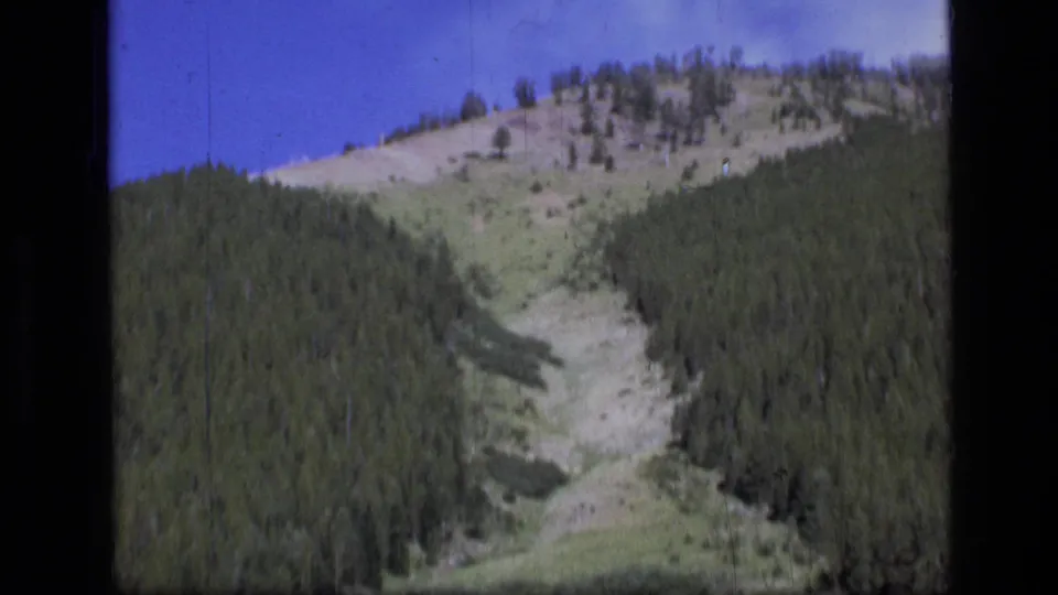 8mm Scapegoat Wilderness landscape showing dark evergreen forest, a pale open slope, and distant hillside under clear sky.