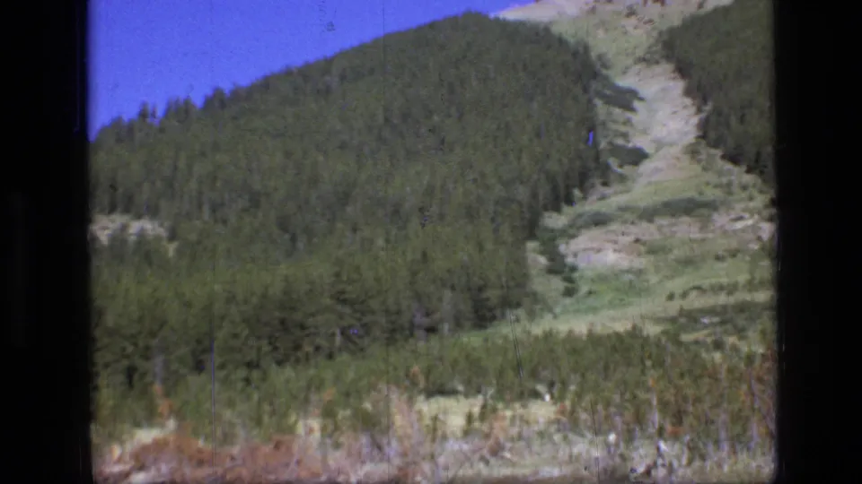 Scapegoat Wilderness hillside in 1973 home-movie footage, showing dense trees, a pale clearing, and foreground brush.