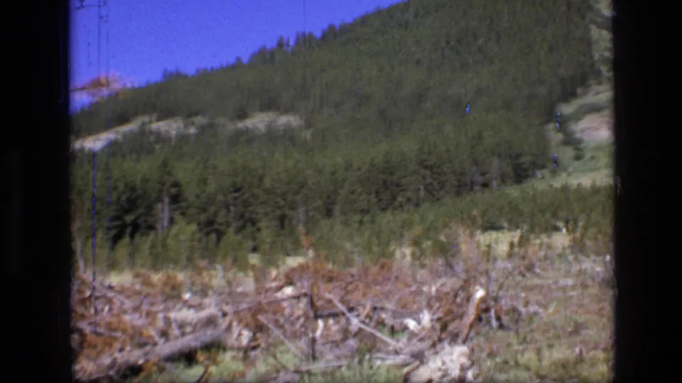 1973 Montana wilderness view with evergreen hills in the distance and downed timber across the foreground.