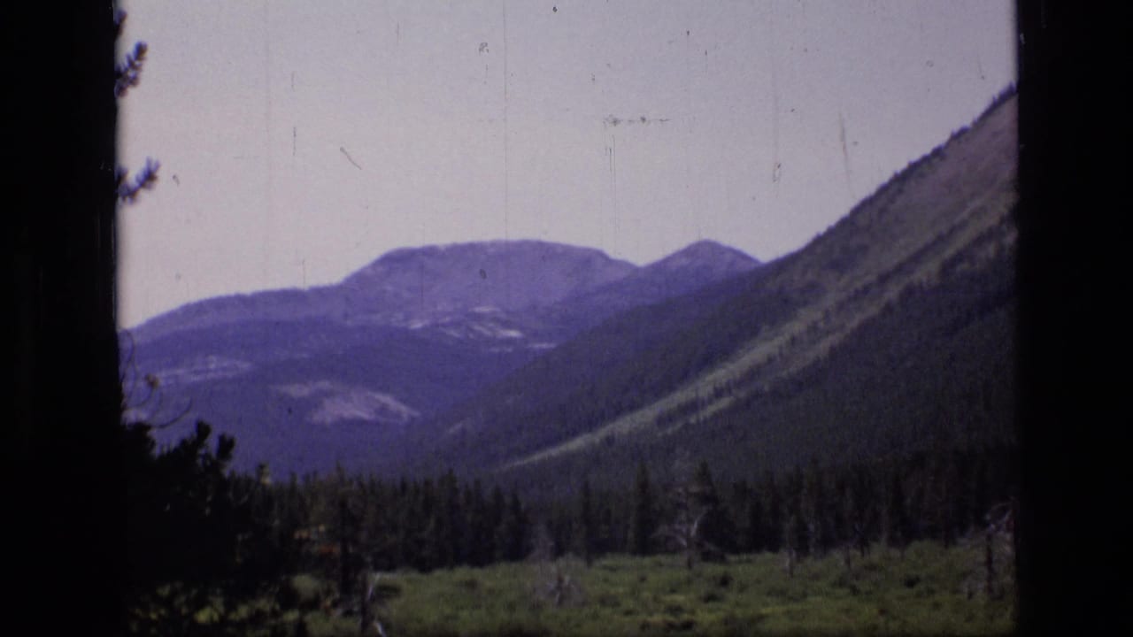 1973 8mm view of a forested mountain valley in Scapegoat Wilderness, Montana, with meadow vegetation in the foreground.