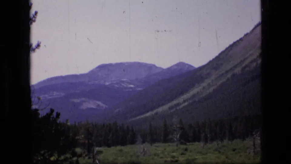 1973 8mm view of a forested mountain valley in Scapegoat Wilderness, Montana, with meadow vegetation in the foreground.