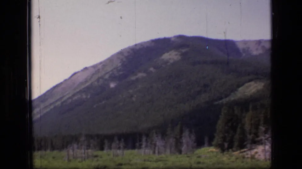 1973 8mm view of a broad forested hillside in Montana, with low meadow growth and visible film scratches.