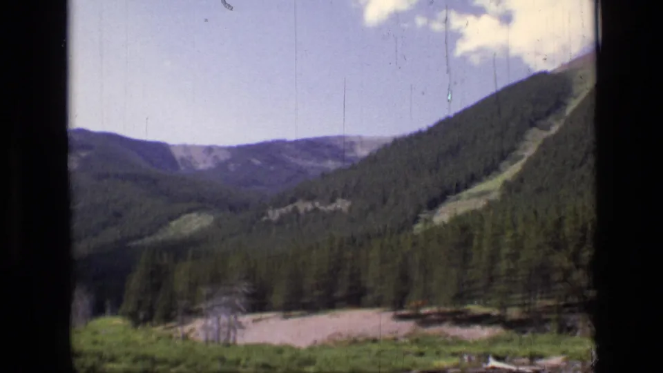 1973 8mm view in Montana showing pine-covered slopes, a meadow clearing, and bright sky from a moving vehicle.