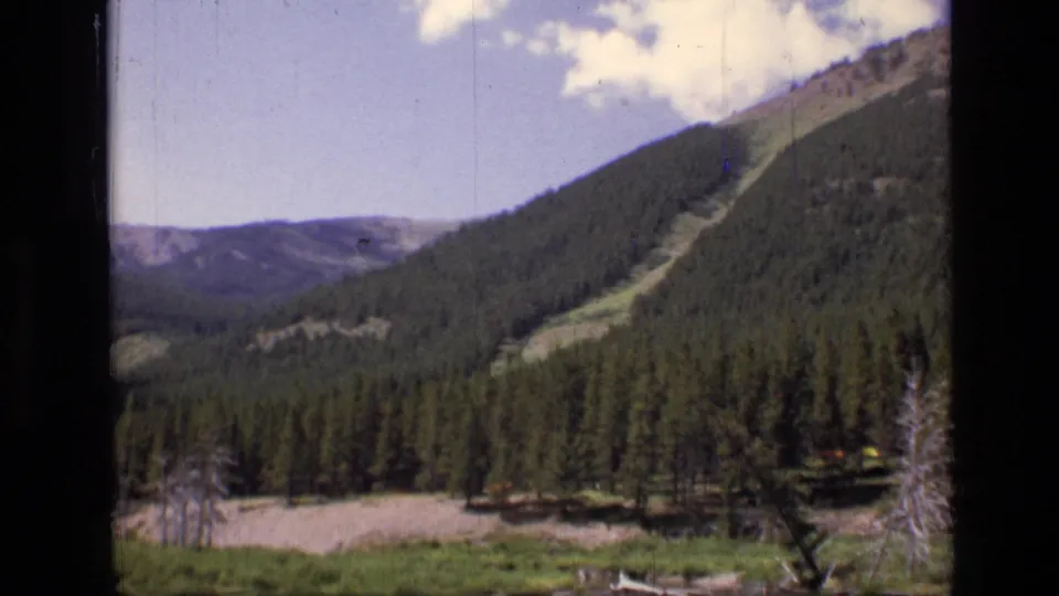 Vintage 1973 8mm Montana landscape with a meadow, dense evergreen forest, and mountain slope viewed in transit.