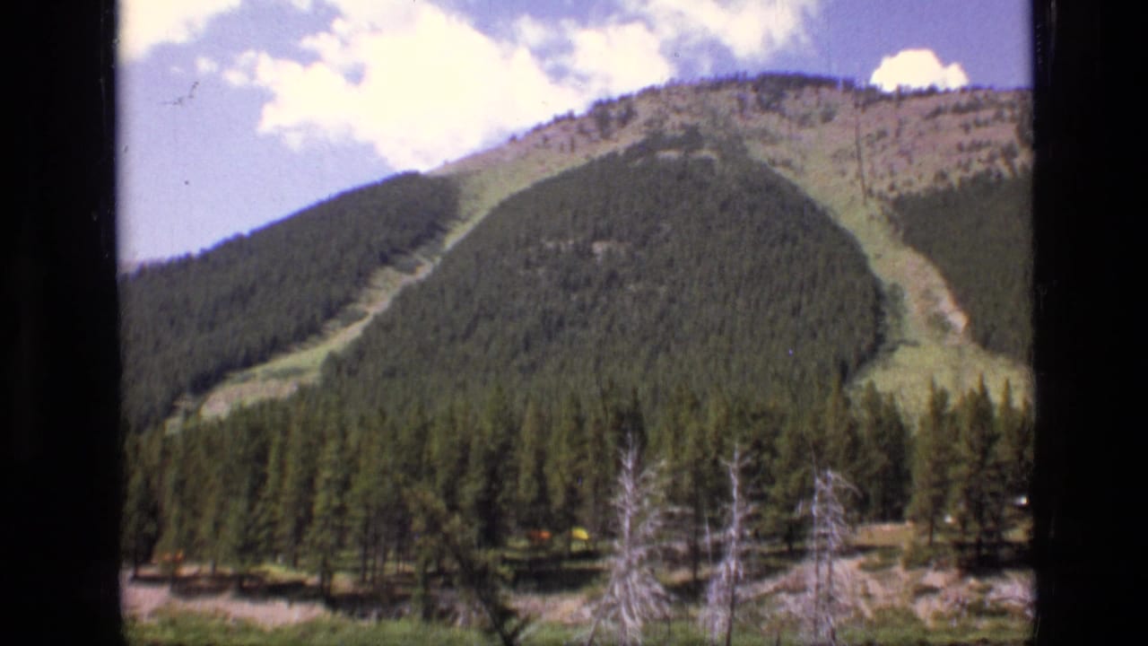 1973 8mm frame of a forested mountain slope in Scapegoat Wilderness, Montana, with pines and clouds visible.