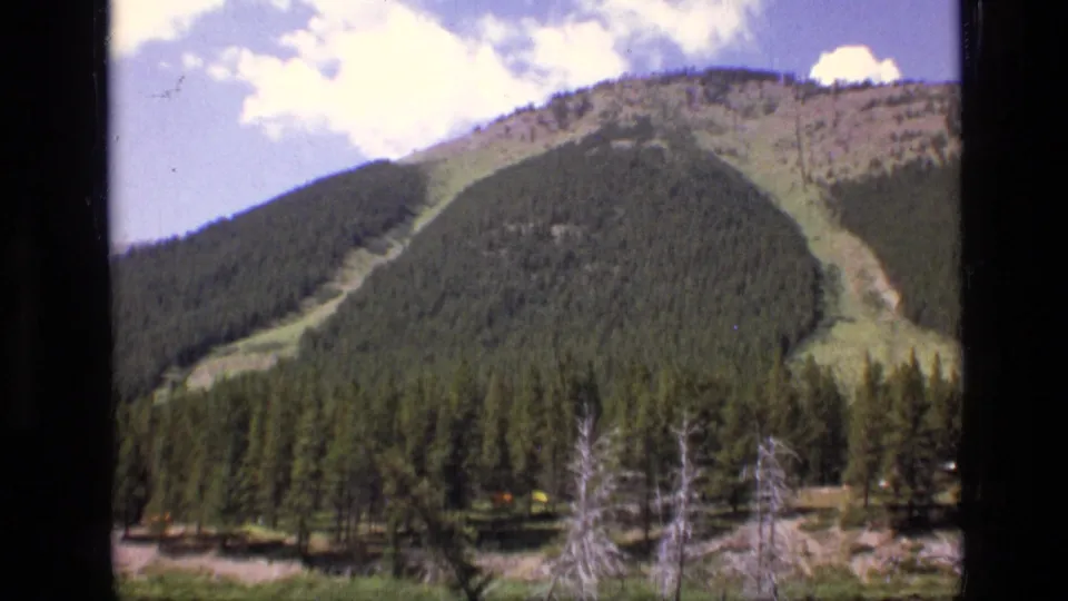 1973 8mm frame of a forested mountain slope in Scapegoat Wilderness, Montana, with pines and clouds visible.
