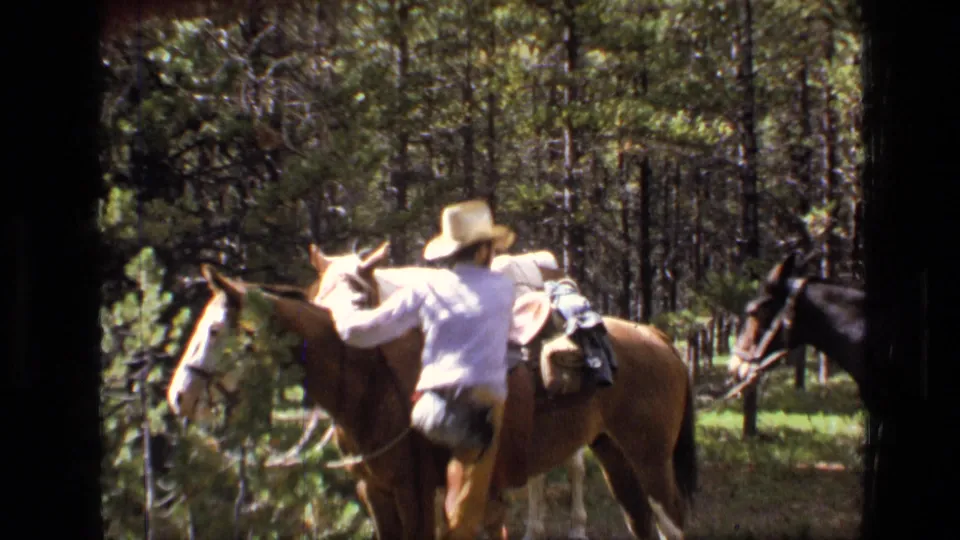 Adult man stands beside a saddled horse with additional horses nearby in Scapegoat Wilderness, Montana, in 1973 footage.