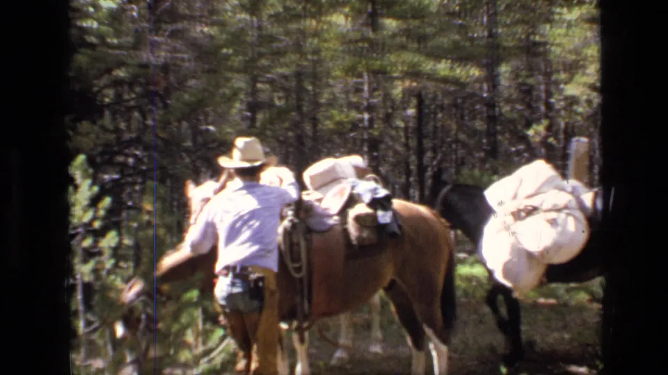 Adult man stands with saddled and packed horses in the Scapegoat Wilderness forest, captured on 1973 8mm film.