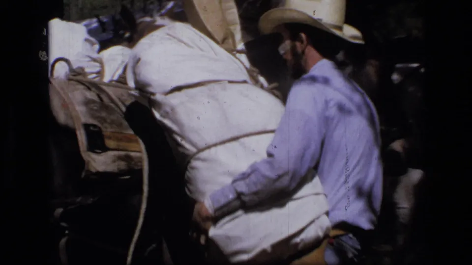 A man in a wide-brimmed hat stands beside a rope-secured pack animal in the 1973 Scapegoat Wilderness footage.