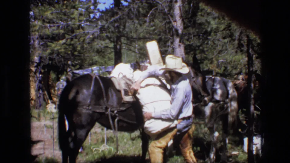 The final frame shows the man securing the white load on a black horse, with another horse partly visible nearby in the wooded Montana scene.