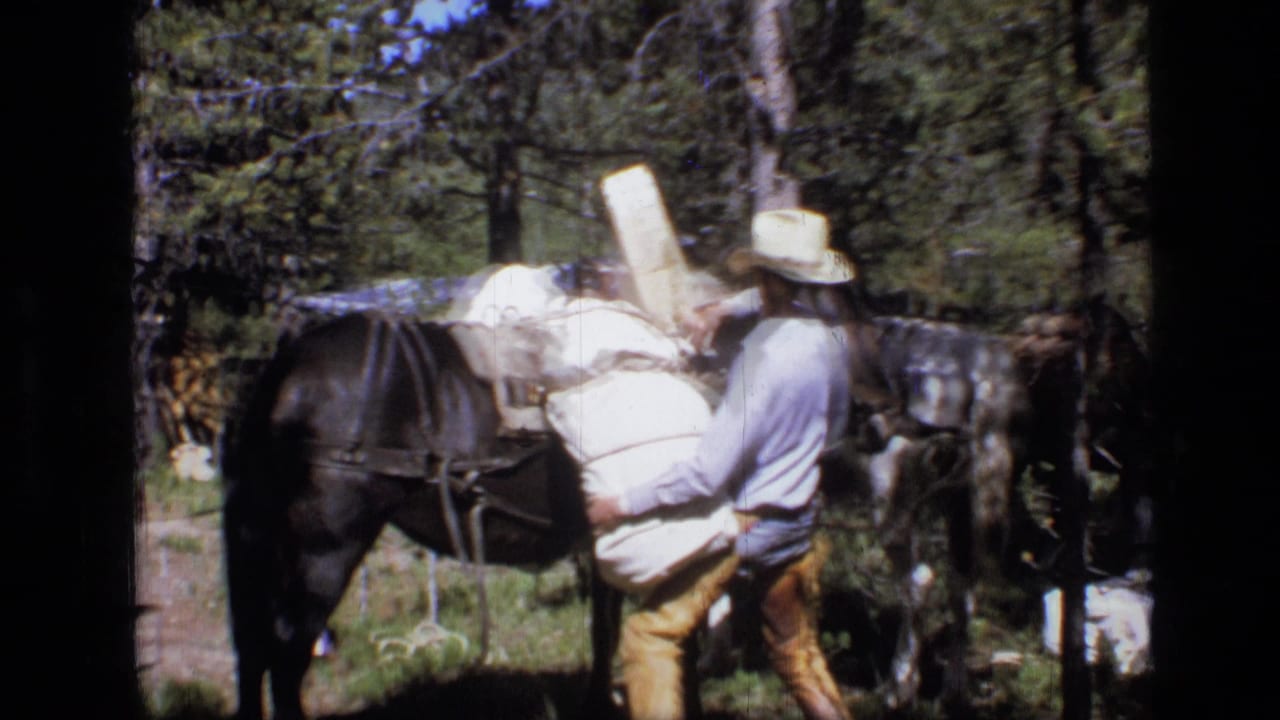 Cowboy loading white bundles onto a dark pack horse in a pine forest.