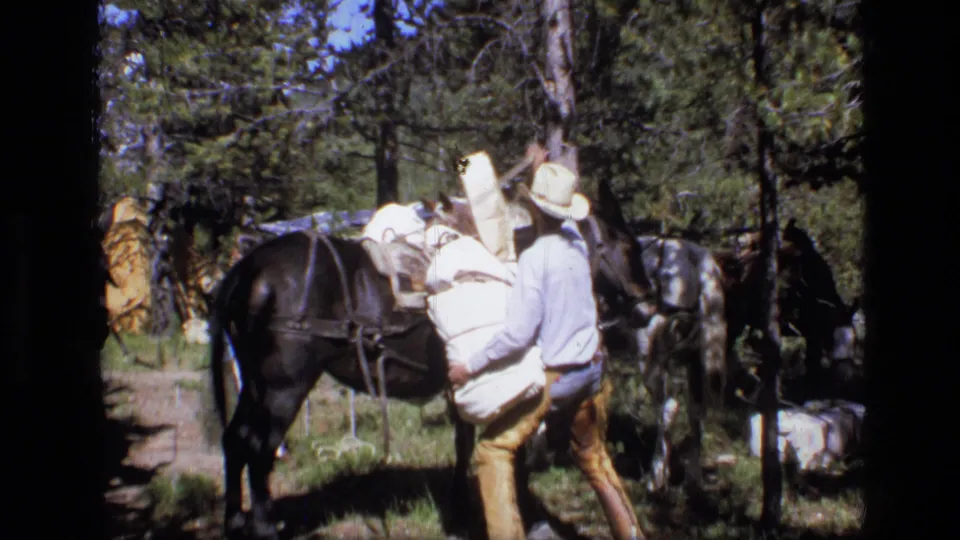 A cowboy in a light hat works beside a loaded horse in the Scapegoat Wilderness area, with other horses visible in the trees.