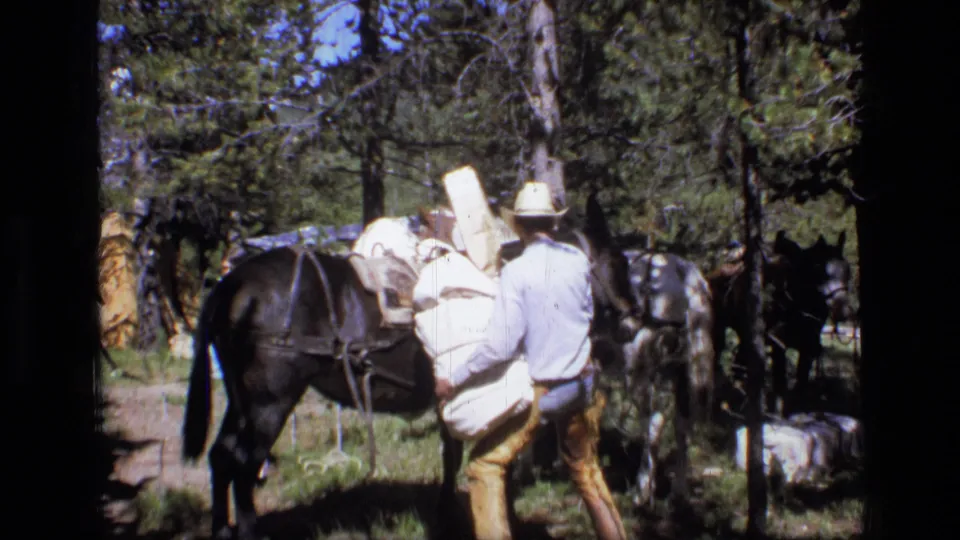 The 8mm frame shows a cowboy tightening or positioning white packs on a horse in a Montana forest setting.